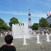 chicchiの画像