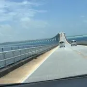 じゃがいもの画像