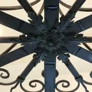 シーLilyの画像