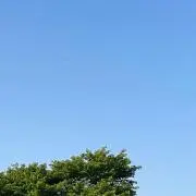 シの画像