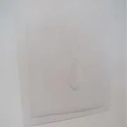 tamの画像