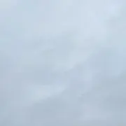 ふぉの画像