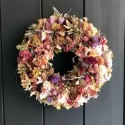 ぽよの画像