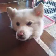 おくちゃん