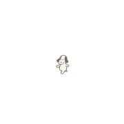 わかの画像