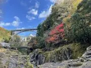 もみじ印の画像