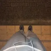 だにやの画像