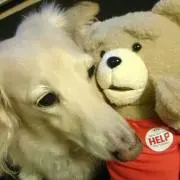 れいからむ