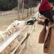 かおり※妊娠後期な為遅れたらすいません