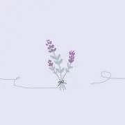 そち※プロフ必読の画像
