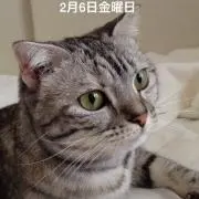 ミキティーの画像