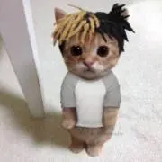 三毛猫の画像