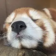 うーさんの画像