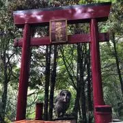 まめすけ＊プロフ読んで下さい＊