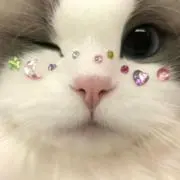 のの画像