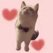 y♡【プロフ必読】24時間以内発送❀の画像