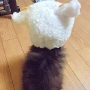 ふーか