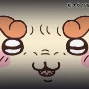 アキラの画像