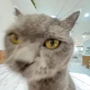 ゆっちゃん