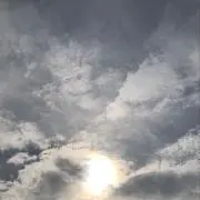 グラタンの画像