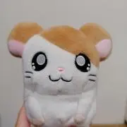はむ美の画像