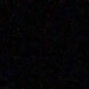 太閤