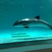 m.mの画像