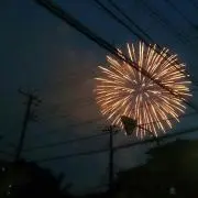 Pazの画像