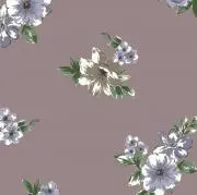 ＊chocolat＊の画像