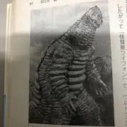 なかの屋の画像