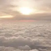 ARの画像
