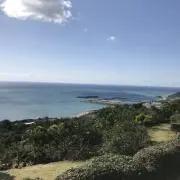 einhornの画像