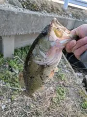 釣に人生をかける人の画像