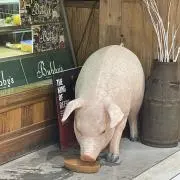 わい