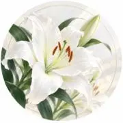 Lirioの画像