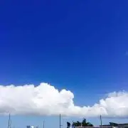 Hachiの画像