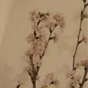 ♡の画像