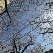 ららの画像