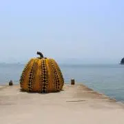 MOの画像