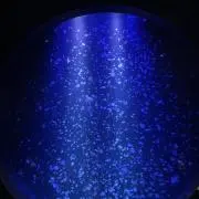 ゆたの画像