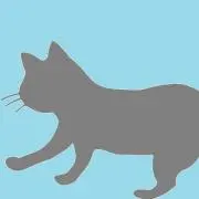 kuroの画像