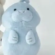 sakuraの画像