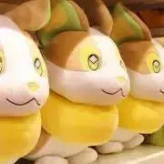 ruruの画像