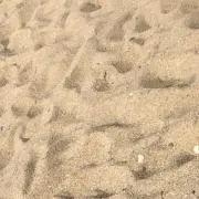 vvv