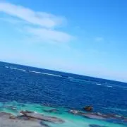 まりりんの画像
