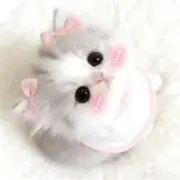 ぱの画像