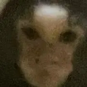 ソール硬化ニキです⭐︎