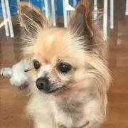 キリュウ