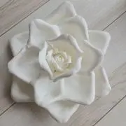 あこの画像