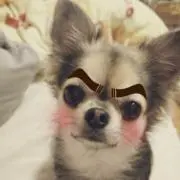 きむ